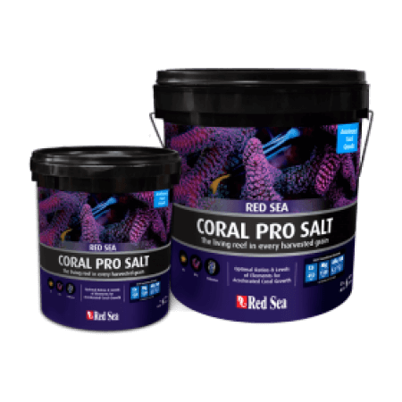 Red Sea Coral Pro salt